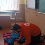 домедична4