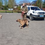 цивільний захист (8)