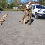 цивільний захист (9)